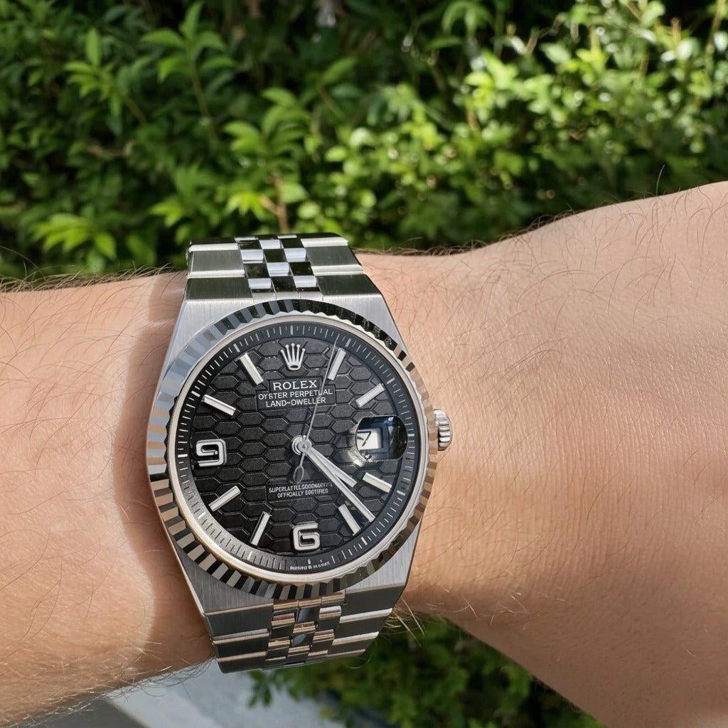 Oyster Perpetual Land-Dweller - Fond Blanc