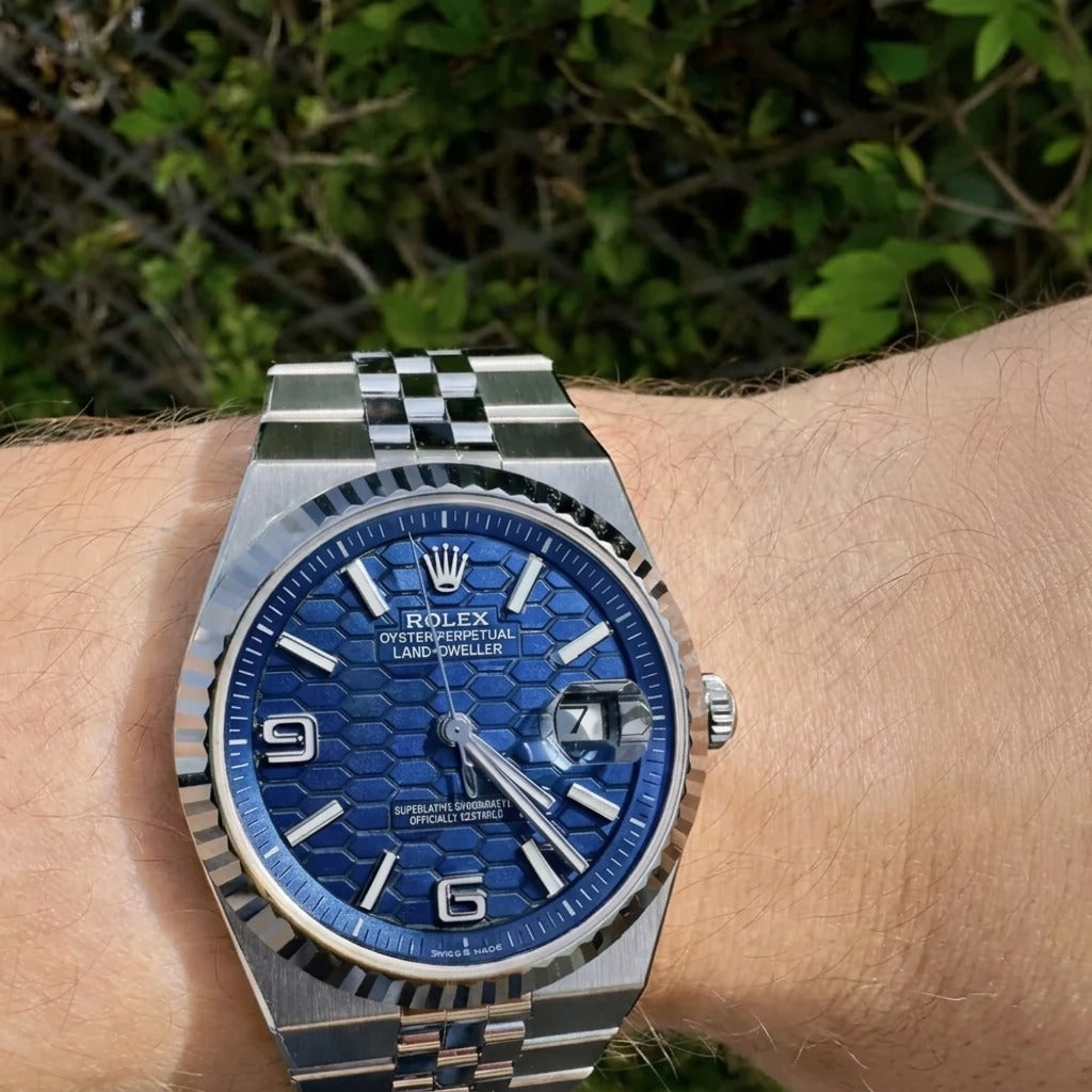 Oyster Perpetual Land-Dweller - Fond Blanc
